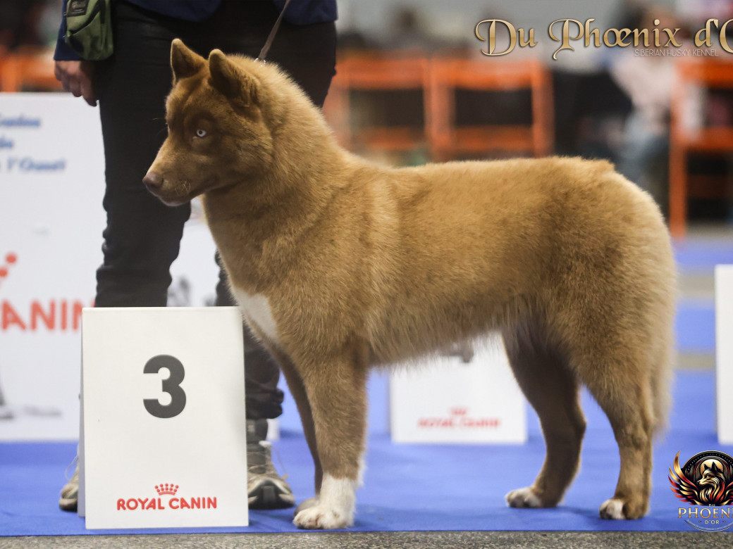 Photo 8 de Alya - Moon & Ultra (Mars 2025)