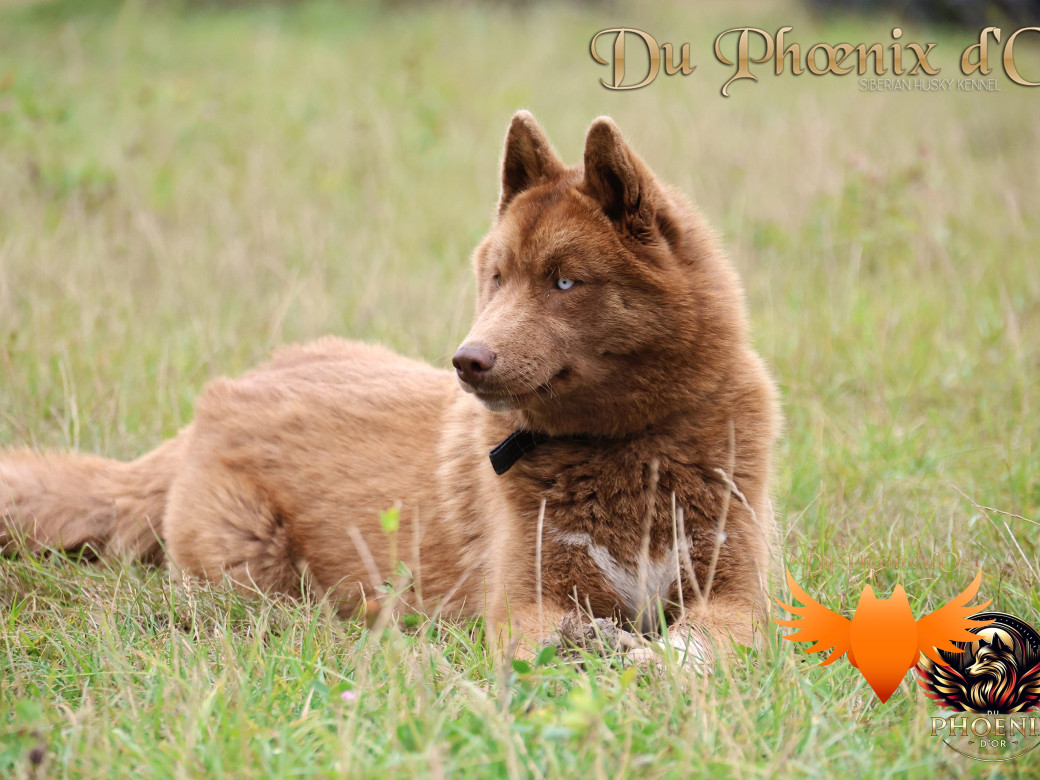 Photo 24 de Alya - Moon & Ultra (Mars 2025)