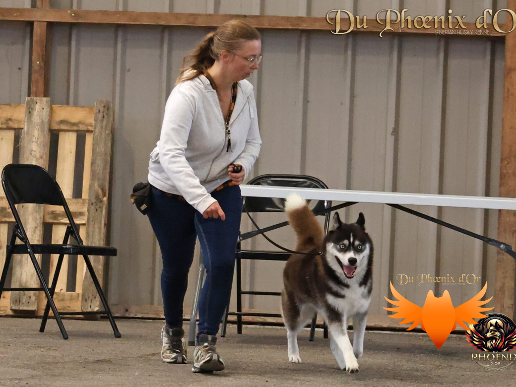 Photo 6 de Uncover black pearl