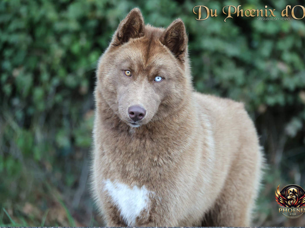 Photo 12 de Alya - Moon & Ultra (Mars 2025)