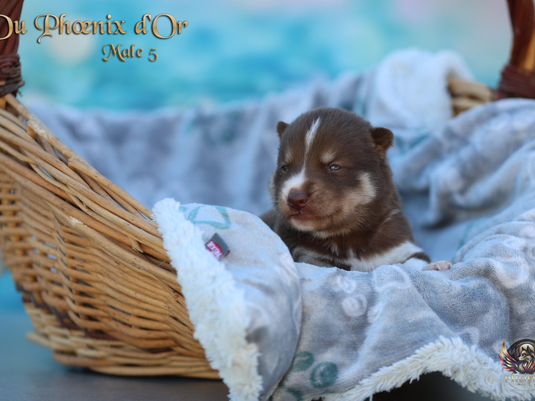 Photo 2 de Mâle 5 - Moon x Ultra (Mars 2026)