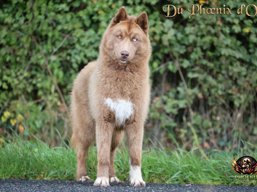 Photo 14 de Alya - Moon & Ultra (Mars 2025)