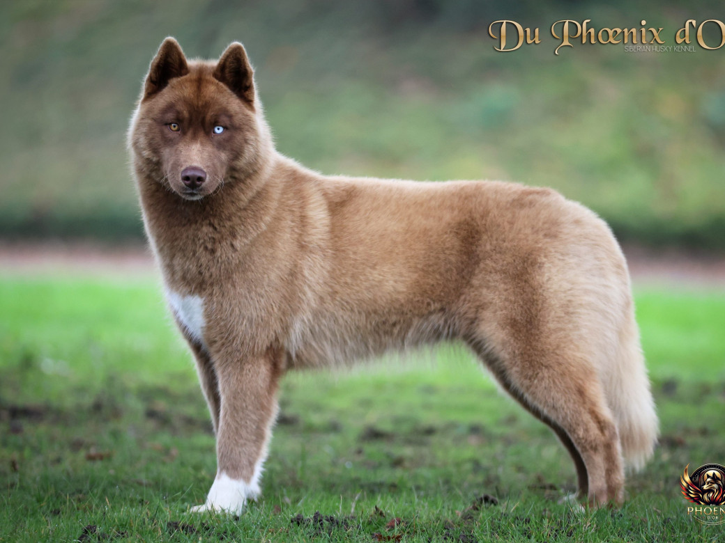 Photo 2 de Alya - Moon & Ultra (Mars 2025)