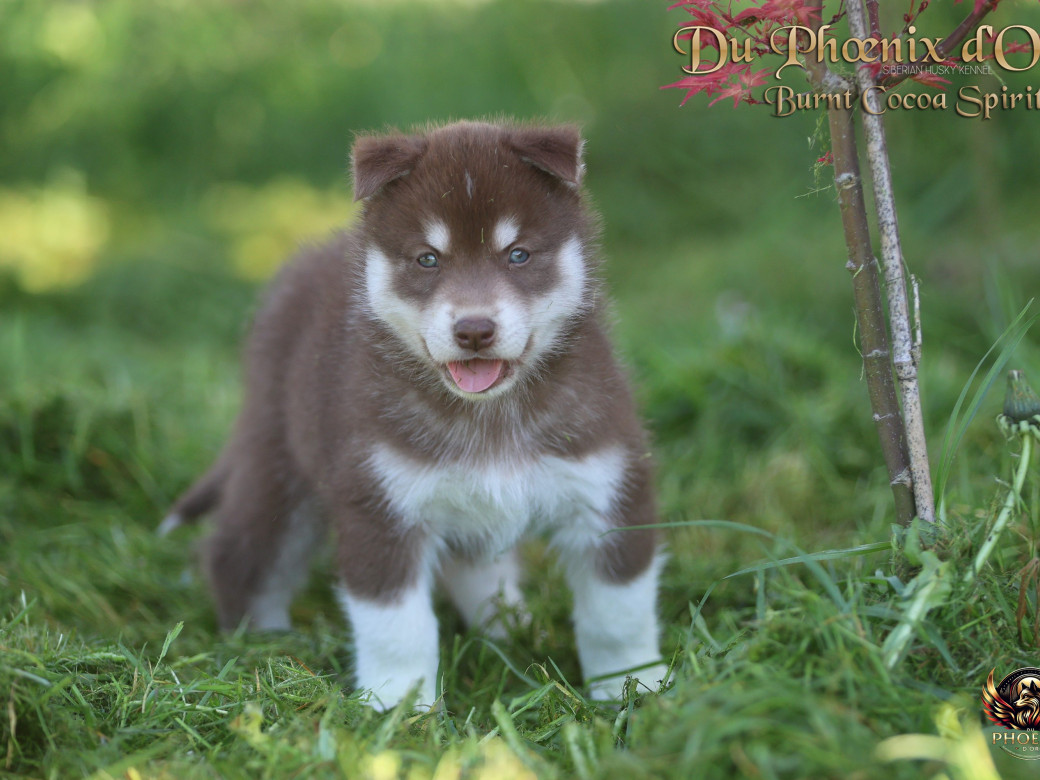 Picture of Mâle 4 - Moon x Ultra (Mars 2026)