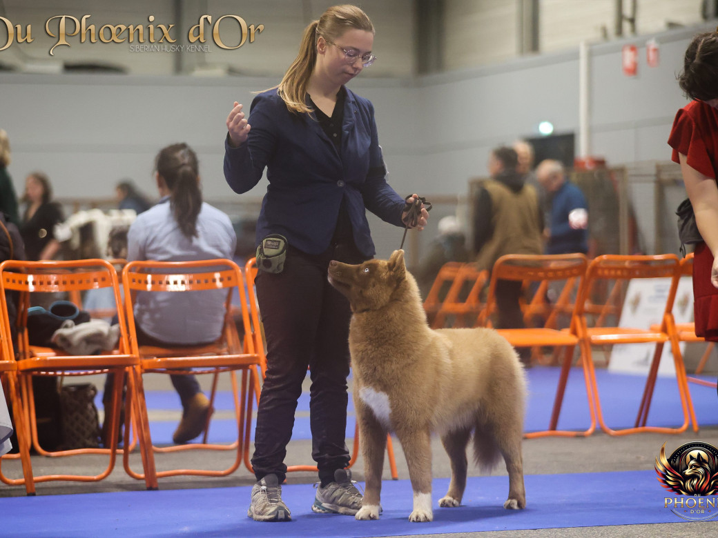 Photo 4 de Alya - Moon & Ultra (Mars 2025)