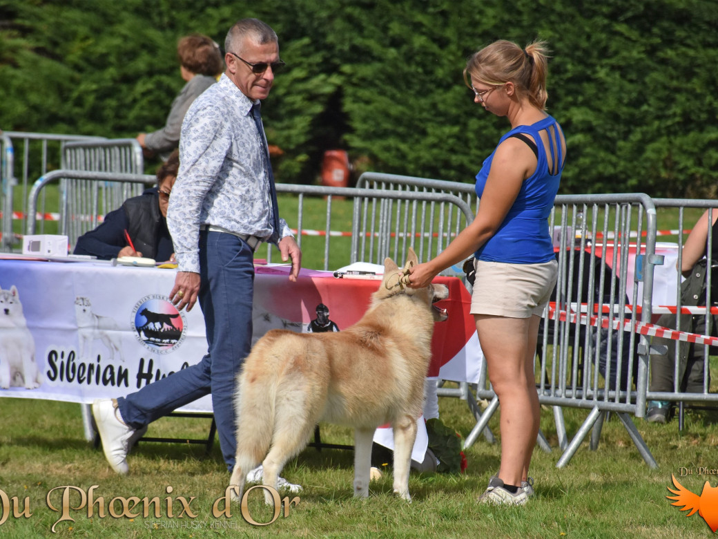 Photo 38 de Unix ultime touch the stars Du Phoenix D'Or