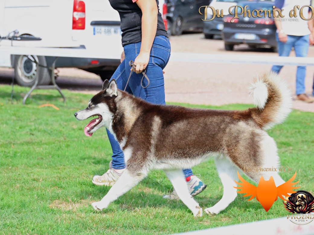 Photo 5 de Uncover black pearl