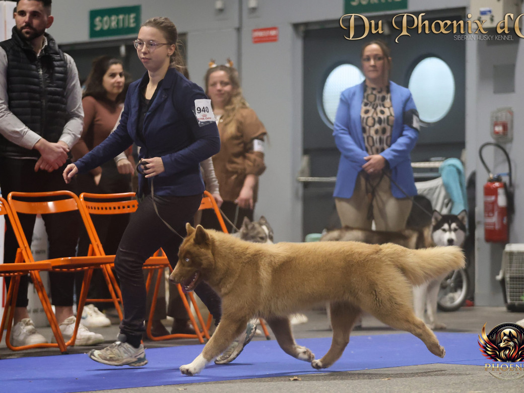 Photo 5 de Alya - Moon & Ultra (Mars 2025)