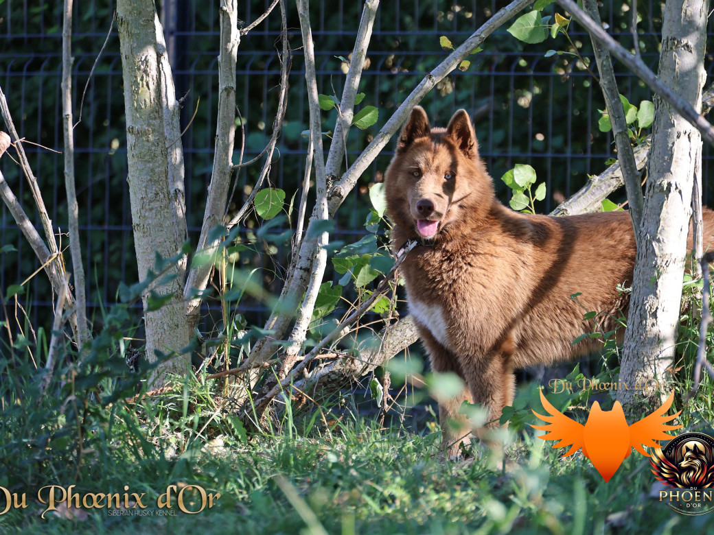 Photo 15 de Alya - Moon & Ultra (Mars 2025)