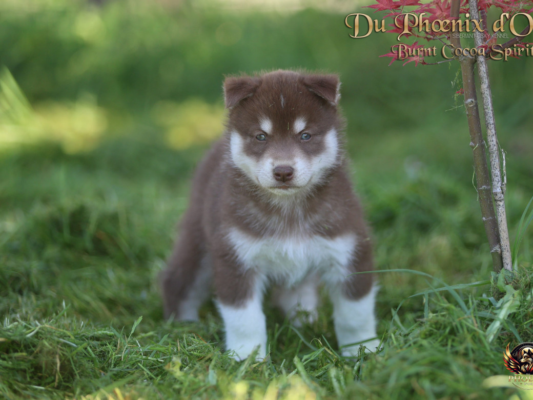 Photo 4 de Mâle 4 - Moon x Ultra (Mars 2026)