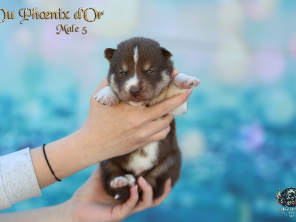 Photo 4 de Mâle 5 - Moon x Ultra (Mars 2026)