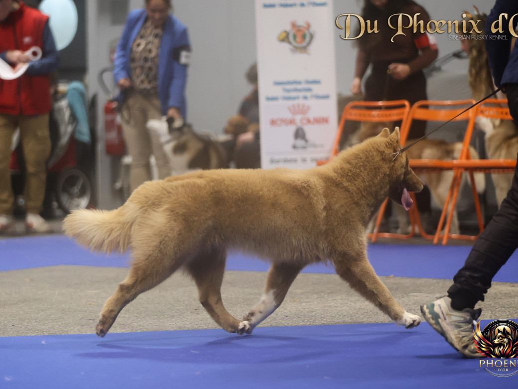 Photo 6 de Alya - Moon & Ultra (Mars 2025)