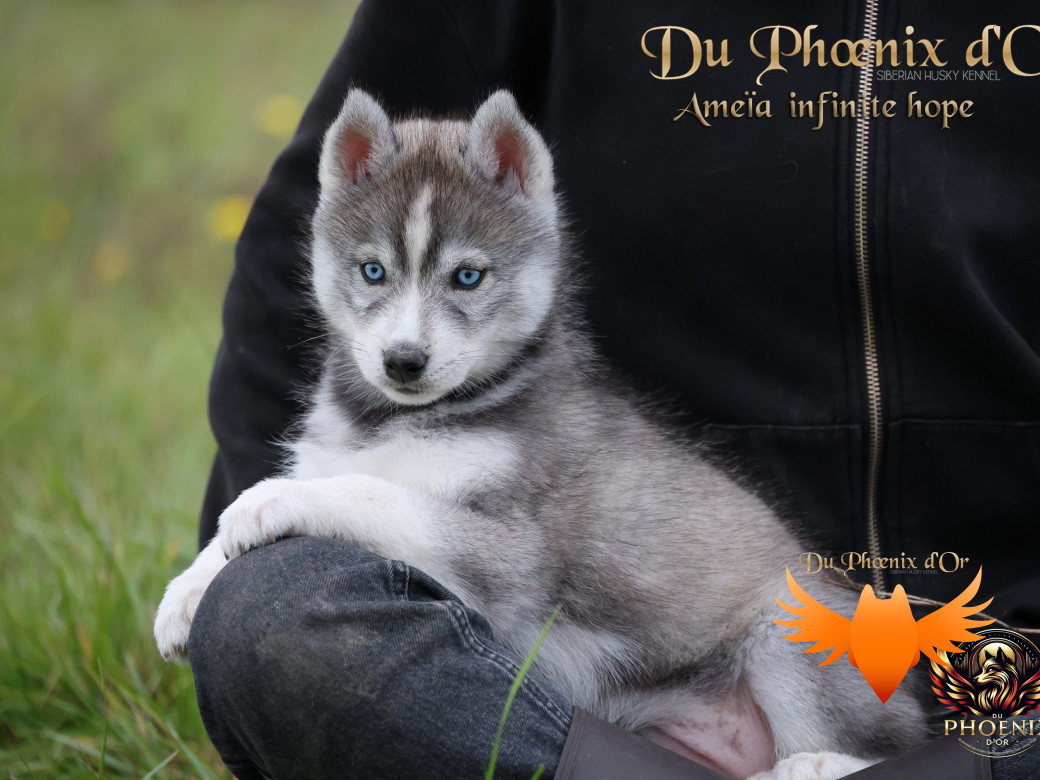 Femelle 1 - Sweetie x Toruk (Septembre 2025)