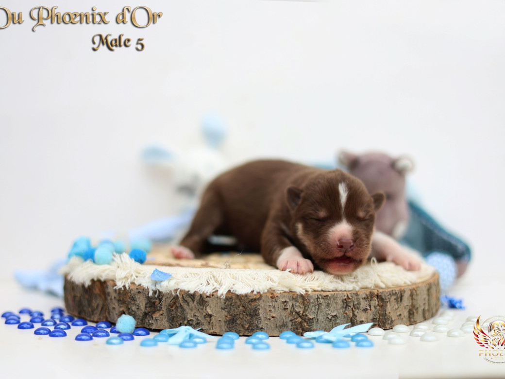 Picture of Mâle 5 - Moon x Ultra (Mars 2026)