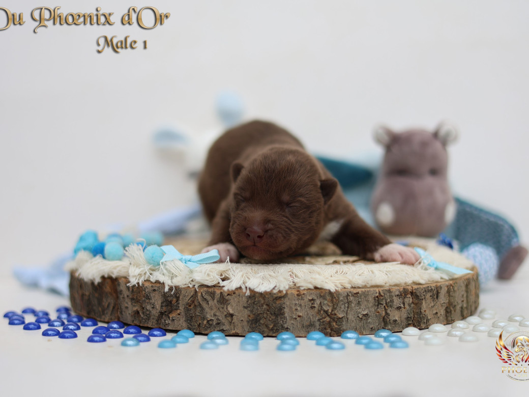 Photo 6 de Mâle 1 - Moon x Ultra (Mars 2026)