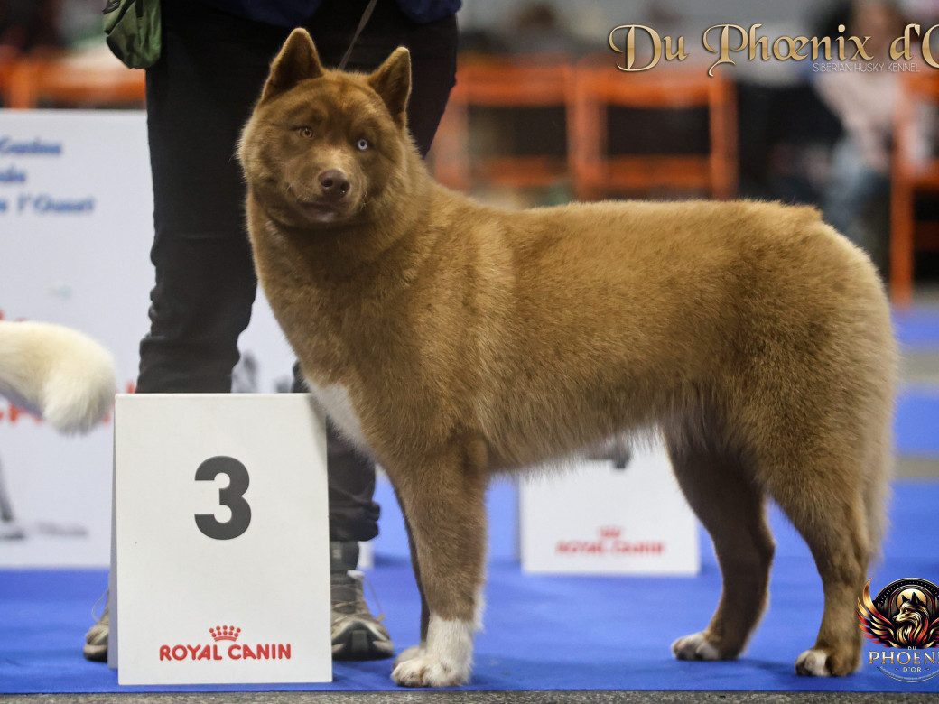 Photo 7 de Alya - Moon & Ultra (Mars 2025)