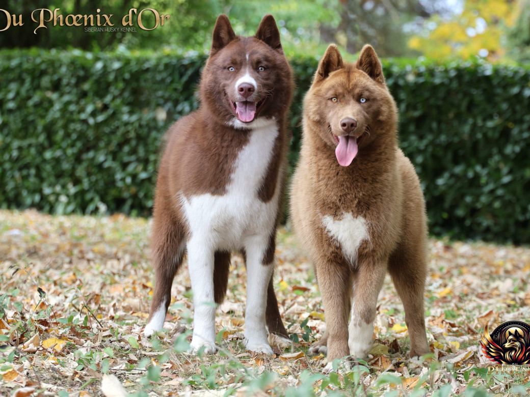 Photo 11 de Alya - Moon & Ultra (Mars 2025)