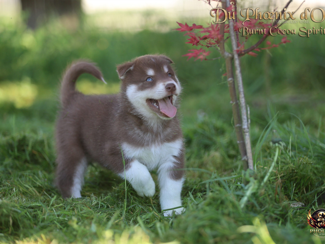 Photo 2 de Mâle 4 - Moon x Ultra (Mars 2026)