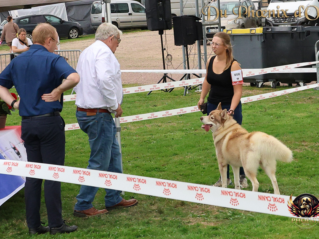 Photo 14 de Unix ultime touch the stars Du Phoenix D'Or