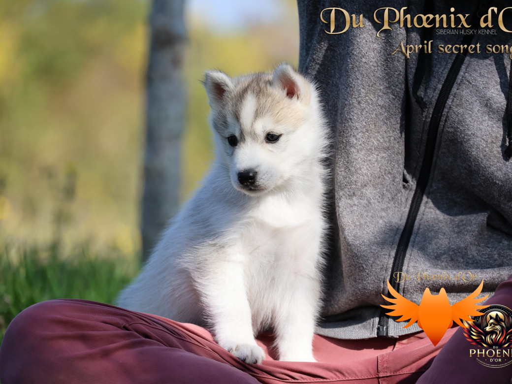 Photo 28 de Femelle 2 - Sweetie x Toruk (Septembre 2025)