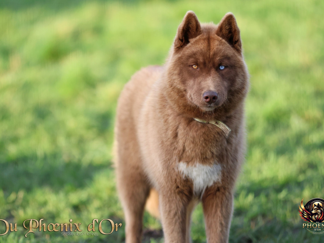 Photo 9 de Alya - Moon & Ultra (Mars 2025)