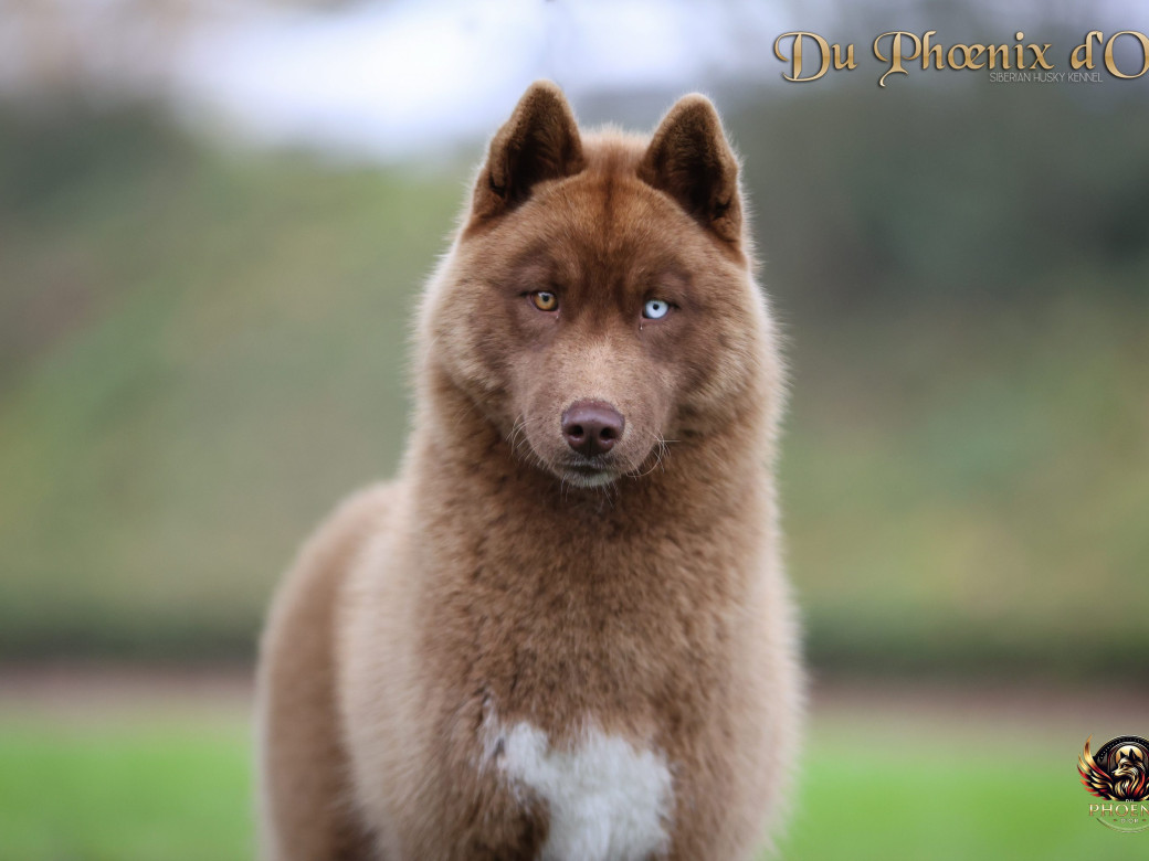 Photo 1 de Alya - Moon & Ultra (Mars 2025)