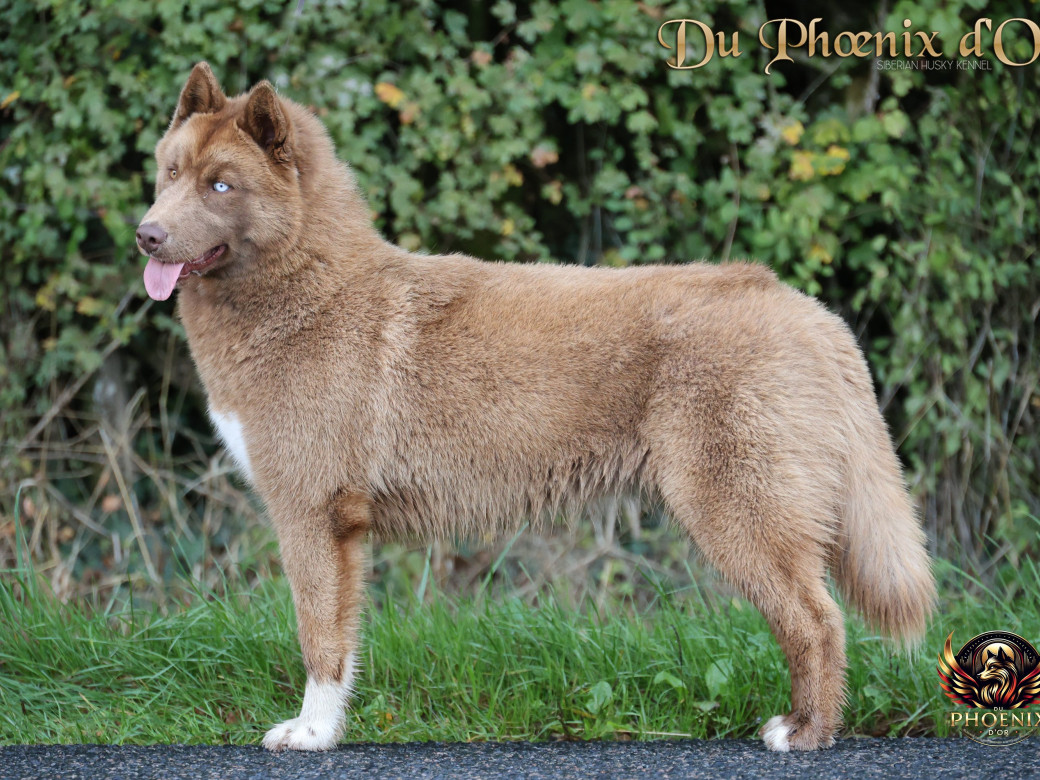 Photo 13 de Alya - Moon & Ultra (Mars 2025)