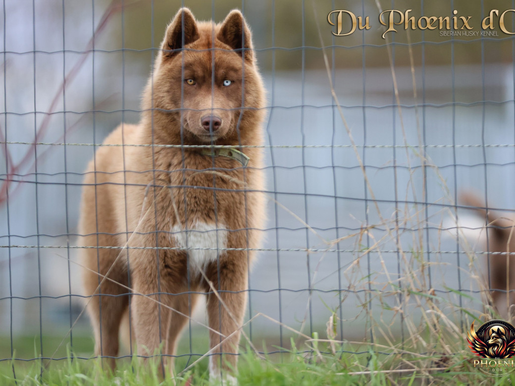 Photo 10 de Alya - Moon & Ultra (Mars 2025)