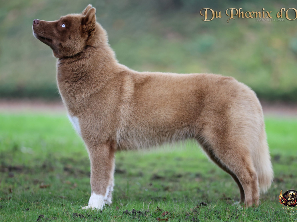 Photo 3 de Alya - Moon & Ultra (Mars 2025)