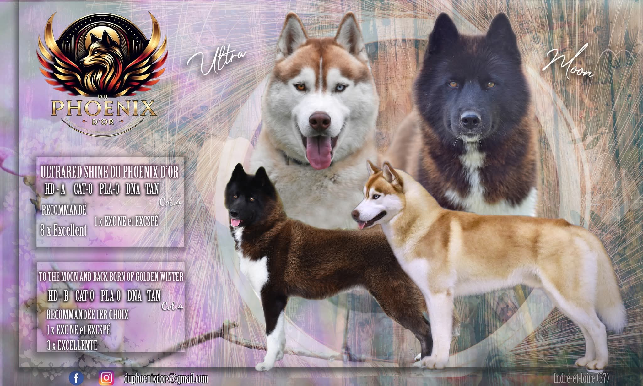 Port&eacute;e Moon x Ultra