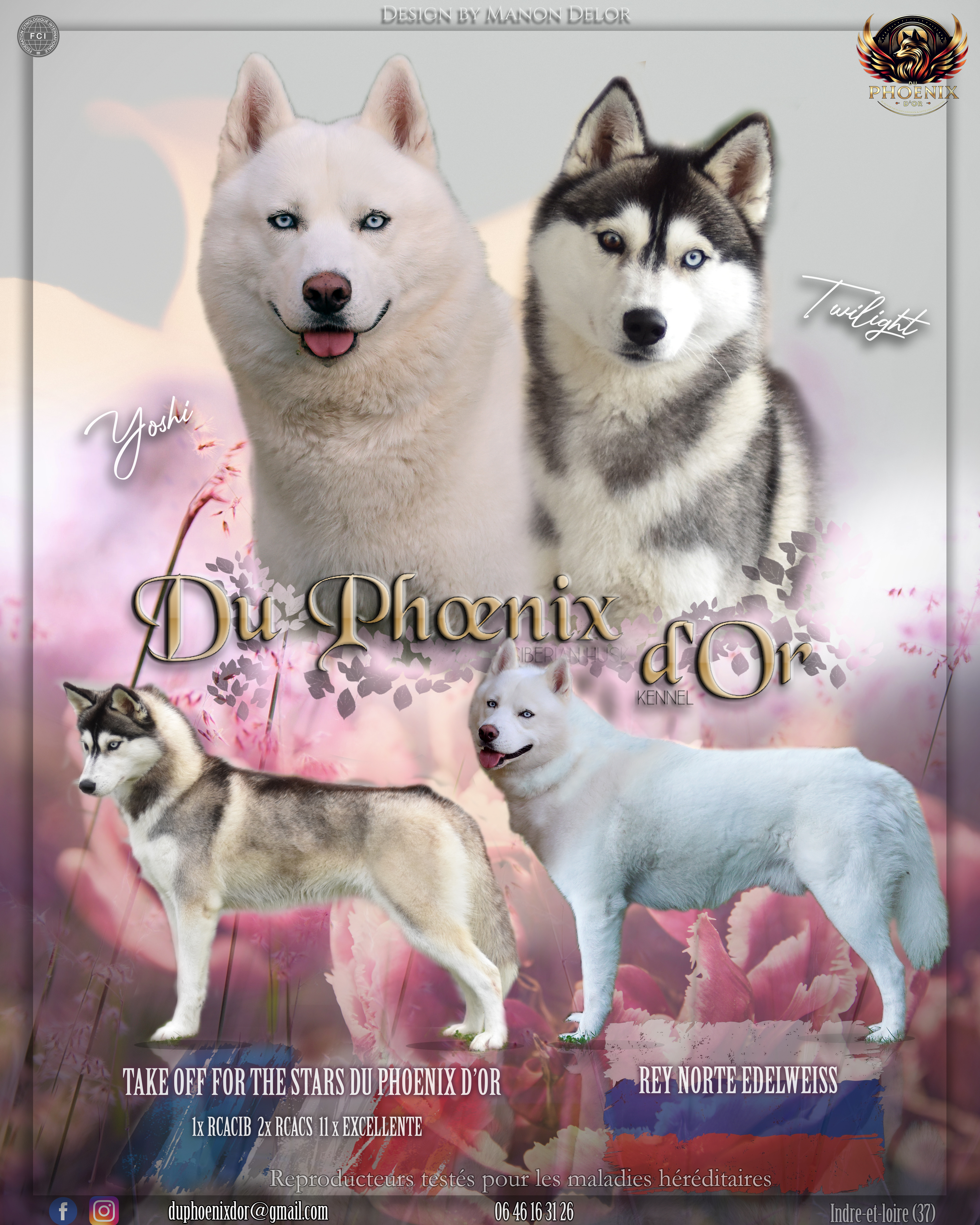 Port&eacute;e Twilight x Yoshi