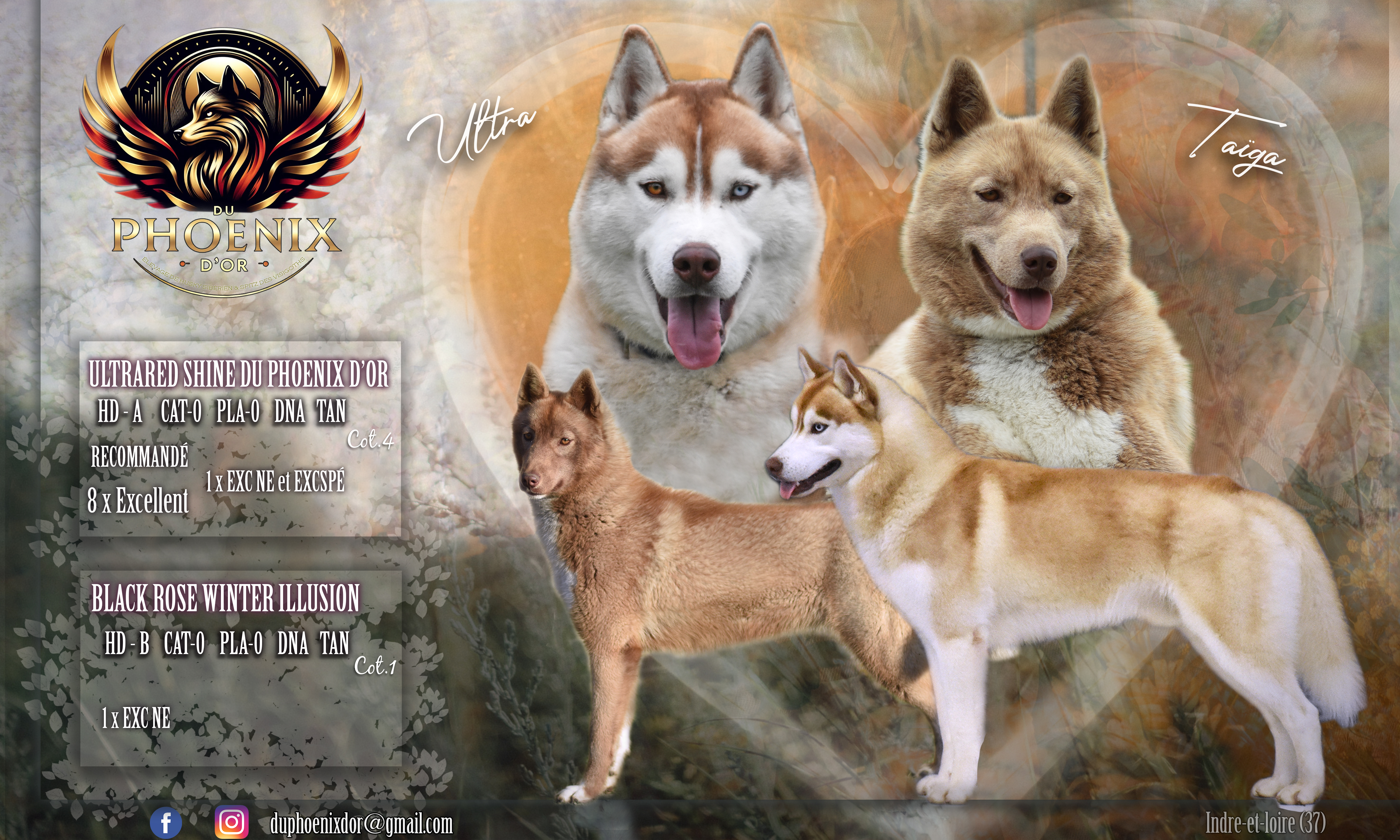 Port&eacute;e Ta&iuml;ga x Ultra