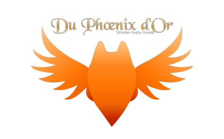 Logo Du Phoenix d'Or